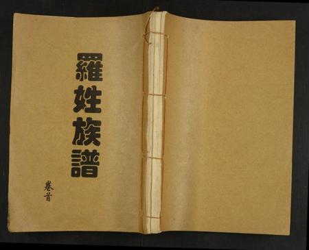 湖南罗氏族谱-罗氏族谱.pdf电子版