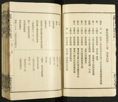 湖南罗氏族谱-罗氏族谱.pdf电子版插图2