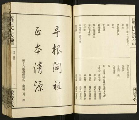 湖南罗氏族谱-罗氏族谱.pdf电子版插图3