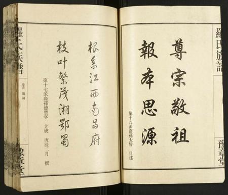 湖南罗氏族谱-罗氏族谱.pdf电子版插图4