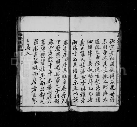 湖南罗氏族谱-罗氏族谱 [17卷,首1卷,附祠谱2卷,首1卷].pdf电子版插图4