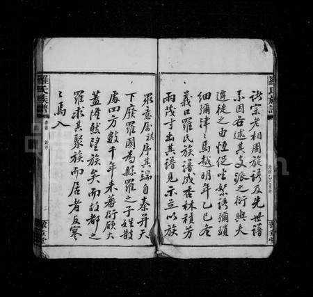 湖南罗氏族谱-罗氏族谱 [17卷,首1卷,附祠谱2卷,首1卷].pdf电子版插图5