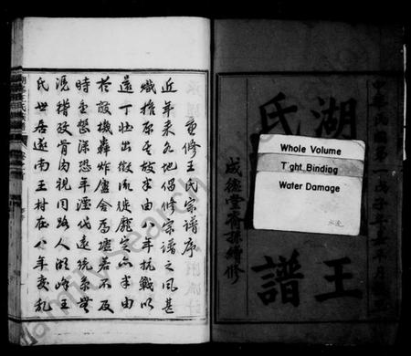 浙江王氏族谱-湖峰王氏族谱 [17卷,及卷首].pdf电子版插图3