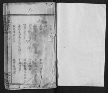 湖南罗氏族谱-罗氏族谱[10卷].pdf电子版插图1