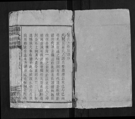 湖南罗氏族谱-罗氏族谱[18卷首上下2卷].pdf电子版插图1