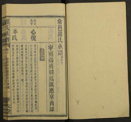 湖南罗氏族谱-罗氏族谱[19卷].pdf电子版插图1