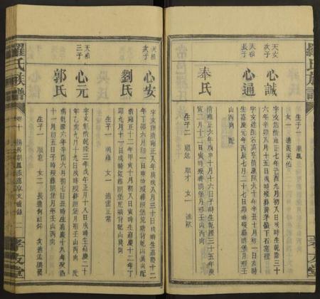 湖南罗氏族谱-罗氏族谱[19卷].pdf电子版插图2