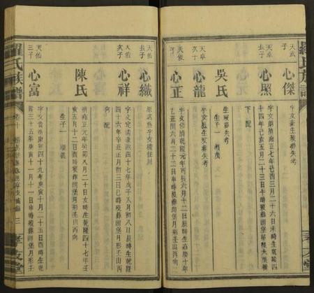 湖南罗氏族谱-罗氏族谱[19卷].pdf电子版插图3