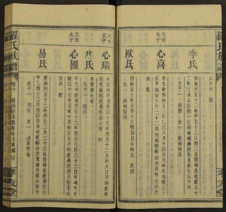 湖南罗氏族谱-罗氏族谱[19卷].pdf电子版插图4