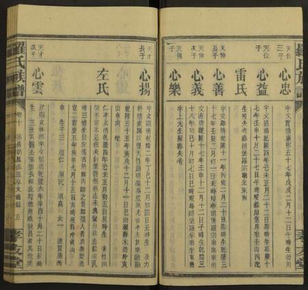 湖南罗氏族谱-罗氏族谱[19卷].pdf电子版插图5