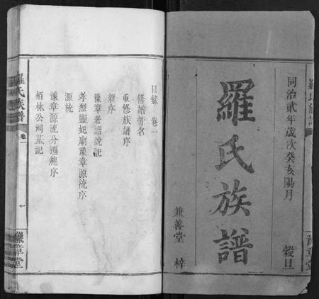 湖南罗氏族谱-罗氏族谱[5卷].pdf电子版插图1