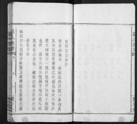 湖南罗氏族谱-罗氏族谱[5卷].pdf电子版插图4