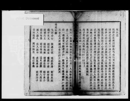 湖南罗氏族谱-罗氏续修宗谱 [残卷].pdf电子版插图2