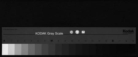 浙江汤氏族谱-汤氏宗谱 [3卷].pdf电子版