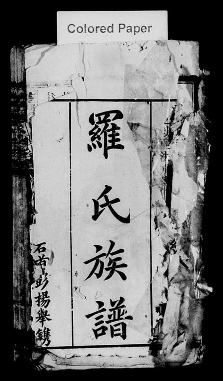 湖南罗氏族谱-黄山罗氏九修族谱 [卷数不详].pdf电子版插图2