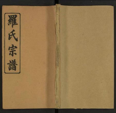 湖南罗氏族谱-义口罗氏宗谱 [残卷].pdf电子版