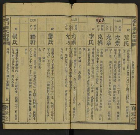 湖南罗氏族谱-义口罗氏宗谱 [残卷].pdf电子版插图5