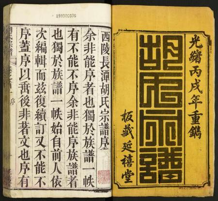 湖北胡氏族谱-胡氏宗谱.pdf电子版插图1