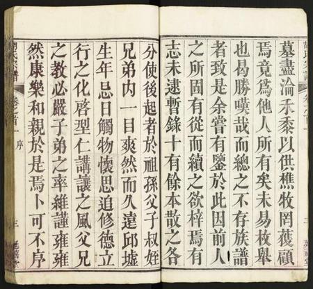 湖北胡氏族谱-胡氏宗谱.pdf电子版插图3