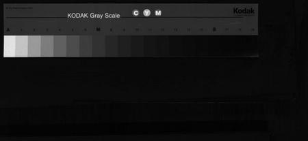 浙江潘氏族谱-荥阳郡泰石潘氏宗谱 [不分卷].pdf电子版