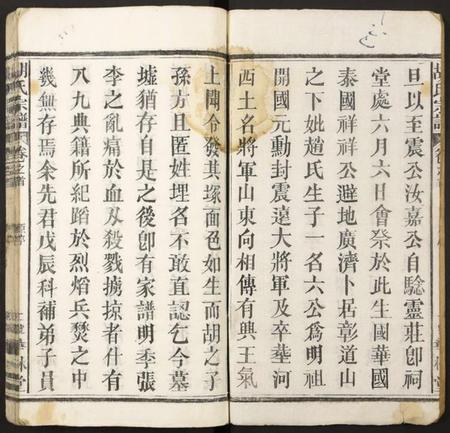 湖北胡氏族谱-胡氏宗谱.pdf电子版插图2