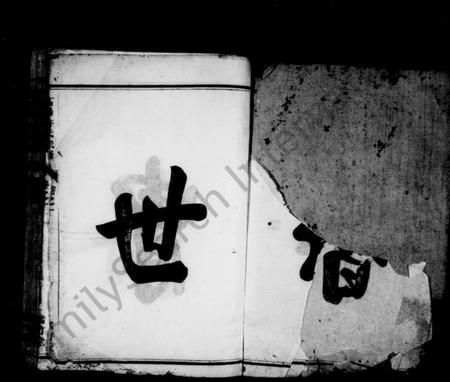 浙江许氏族谱-浒溪高阳许氏家谱 [4卷].pdf电子版插图5