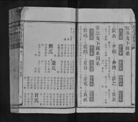 湖南马氏族谱-马氏五修族谱.pdf电子版插图5