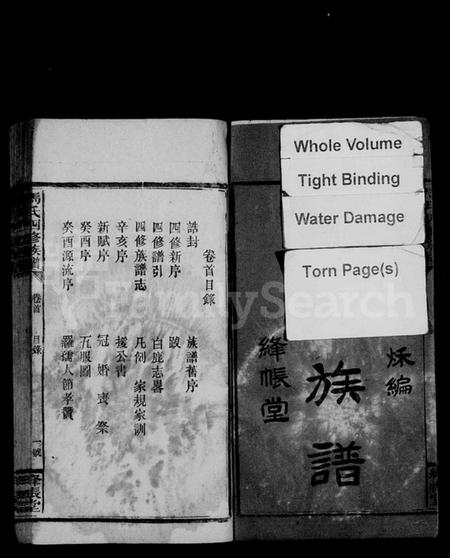 湖南马氏族谱-马氏四修族谱 [9卷,首1卷].pdf电子版插图3