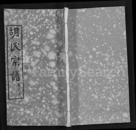 湖北胡氏族谱-胡氏宗谱 [9卷,首4卷].pdf电子版