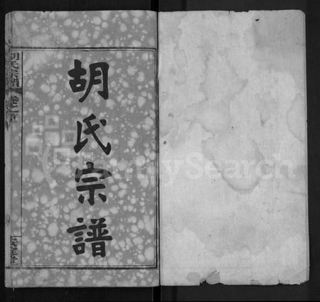 湖北胡氏族谱-胡氏宗谱 [9卷,首4卷].pdf电子版插图1