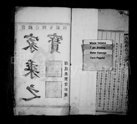 浙江程氏族谱-潜阳程氏宗谱 [4卷].pdf电子版插图2