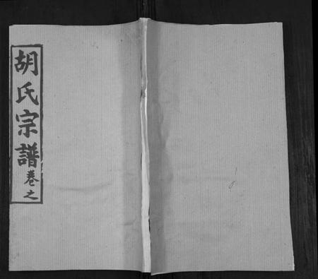 湖北胡氏族谱-胡氏宗谱[21卷首2卷].pdf电子版