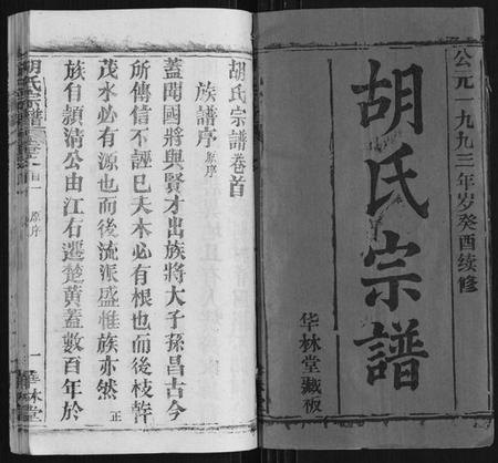 湖北胡氏族谱-胡氏宗谱[28卷首5卷].pdf电子版插图1