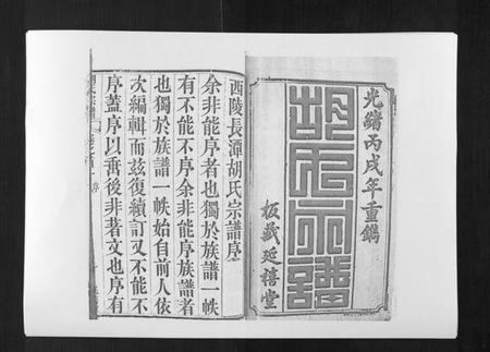 湖北胡氏族谱-胡氏宗谱[8卷首2卷].pdf电子版插图1