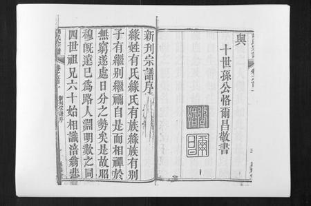 湖北胡氏族谱-胡氏宗谱[8卷首2卷].pdf电子版插图4