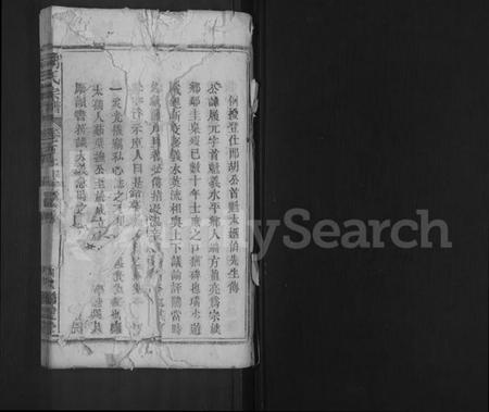 湖北胡氏族谱-胡氏宗谱 [44卷,首8卷].pdf电子版插图1