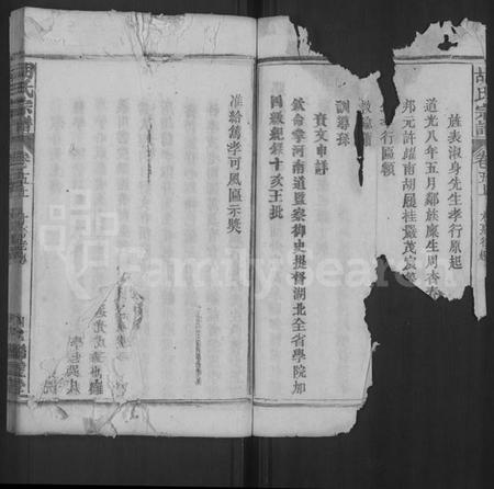 湖北胡氏族谱-胡氏宗谱 [44卷,首8卷].pdf电子版插图4