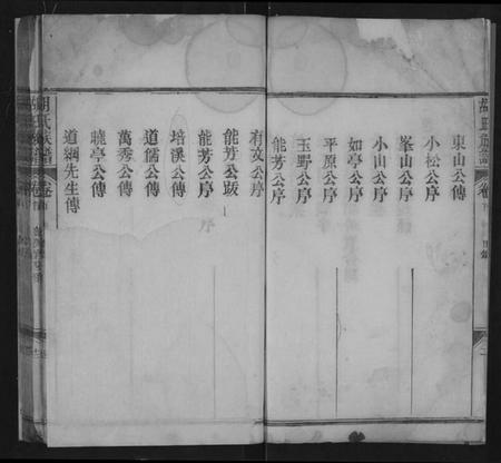 湖北胡氏族谱-胡氏族谱 [8卷,含卷首].pdf电子版插图4