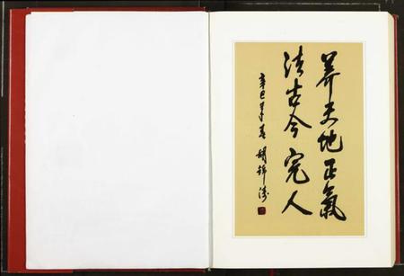 湖北湖氏族谱-中华胡姓通谱.pdf电子版插图2