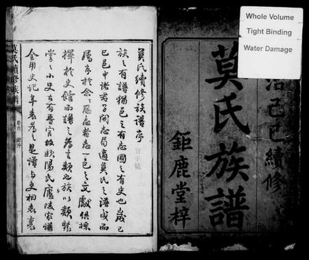 湖南莫氏族谱-莫氏续修族谱 [6卷,首1卷].pdf电子版插图3