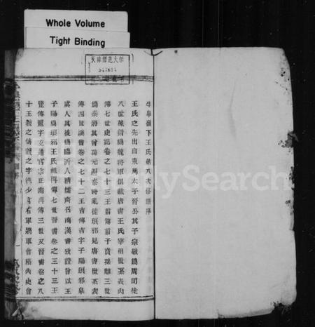 浙江王氏族谱-牛皋岭下王氏宗谱.pdf电子版插图2