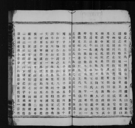 浙江王氏族谱-牛皋岭下王氏宗谱.pdf电子版插图3