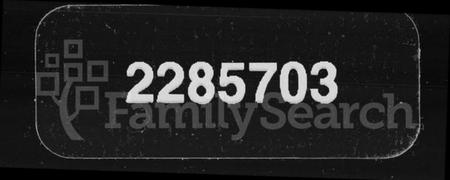 湖南聂氏族谱-聂氏族谱 [卷数不详].pdf电子版