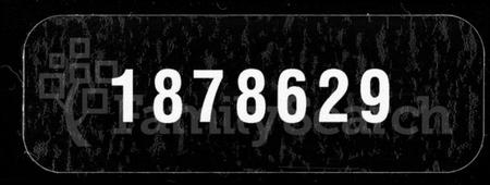 湖南甯氏族谱-齐郡甯氏莲邵续修家乘 [157卷,首1卷,补遗1卷].pdf电子版