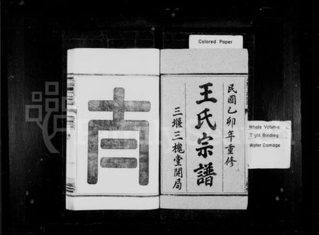 浙江王氏族谱-王氏宗谱 [6卷,首末各1卷].pdf电子版插图1