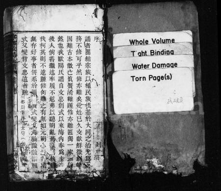 湖南欧阳氏族谱-宁乡欧阳氏铭鏸镛锺谱 [37卷,及卷首].pdf电子版插图2