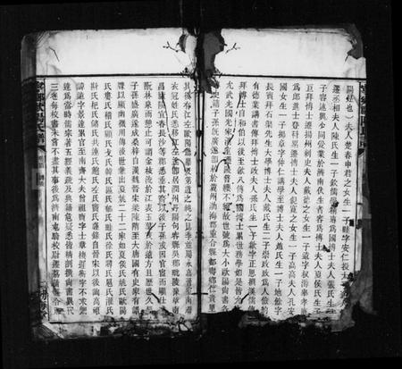 湖南欧阳氏族谱-宁乡欧阳氏铭鏸镛锺谱 [37卷,及卷首].pdf电子版插图4