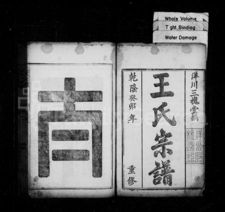 浙江王氏族谱-王氏宗谱 [6卷].pdf电子版插图2