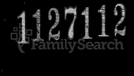 浙江王氏族谱-王氏家谱 [4卷,首1卷].pdf电子版