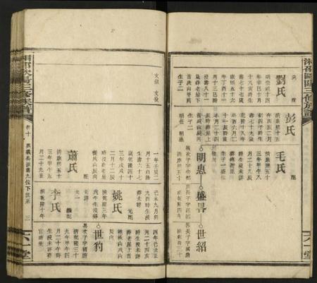 湖南欧阳氏族谱-湘邵欧阳三修族谱 [残卷].pdf电子版插图3